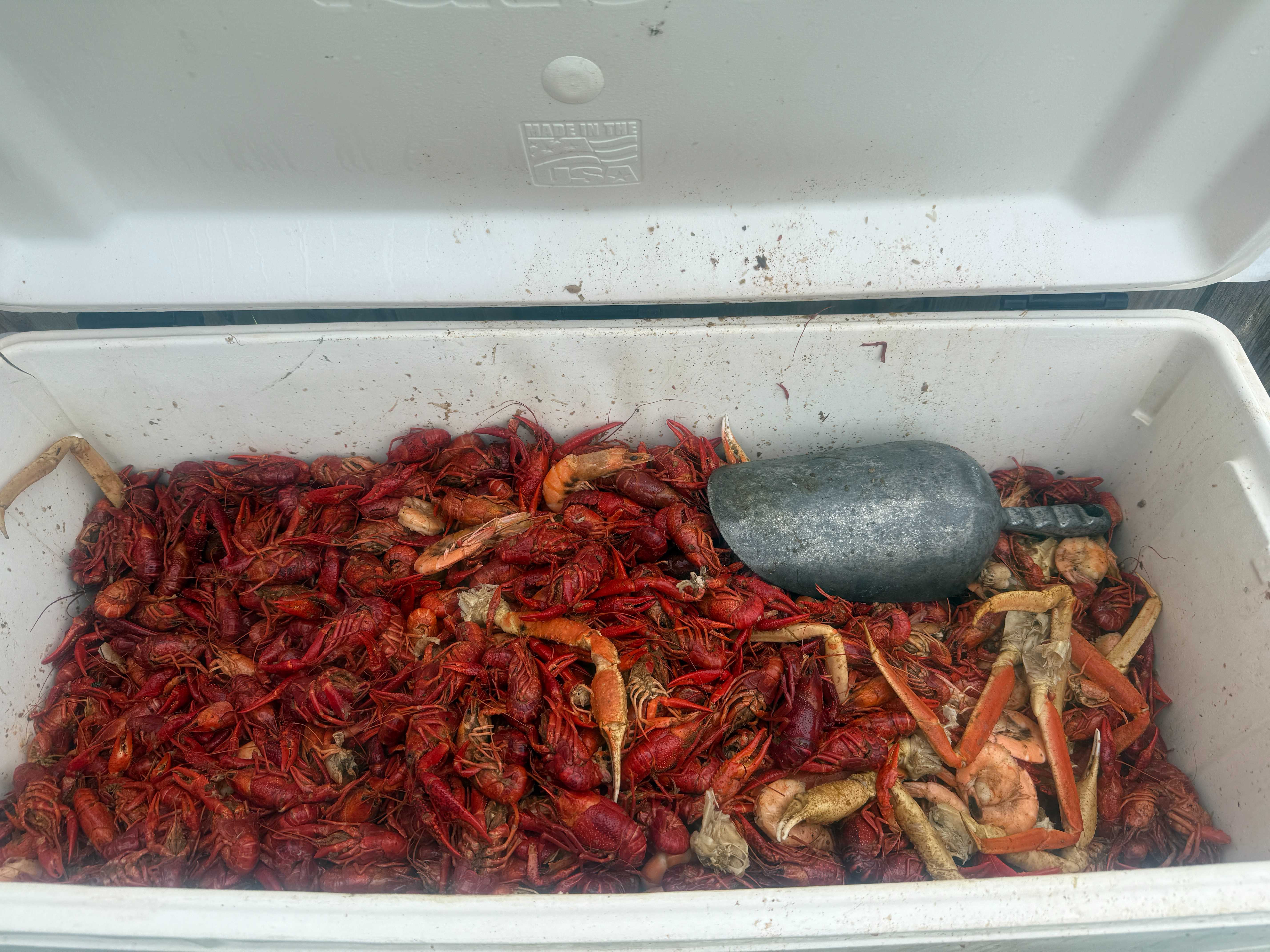 Mudbuggin Seafood - Fresh Crawfish & Crab